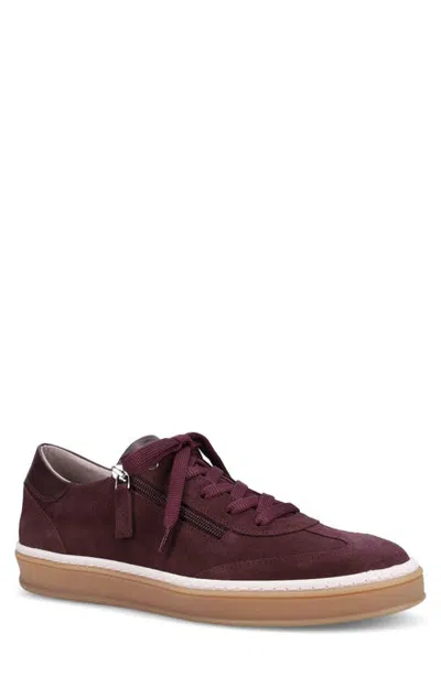 Ron White Ilya Weatherproof Suede Sneaker In Multi