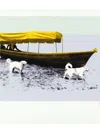 Ronald Morán ''embarcados V'' Digital Print On Paper, 14'' X 20'' In Neutral