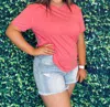 Ronnie Salloway & Company A Day At The Park Denim Shorts In Light Wash In Blue