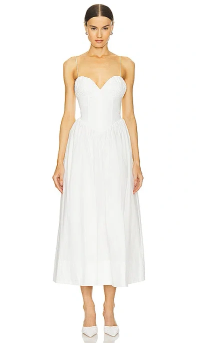Ronny Kobo Women's Carmine Cotton Corset Midi-dress In Optic White
