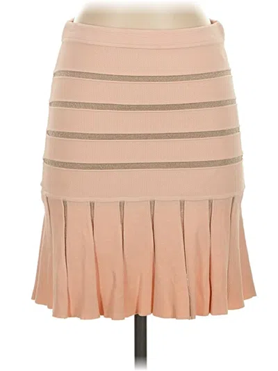 Pre-owned Ronny Kobo Casual Skirt In Tan