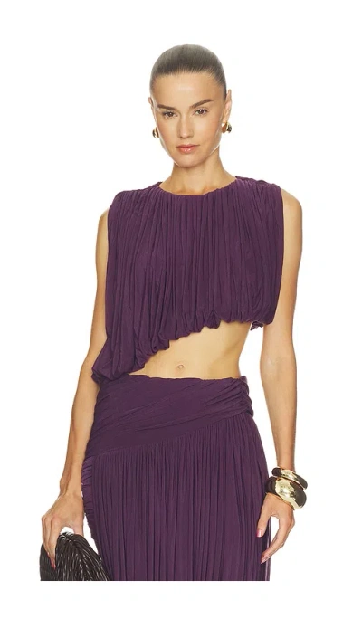 Ronny Kobo Chelly Top In Dark Plum In Purple