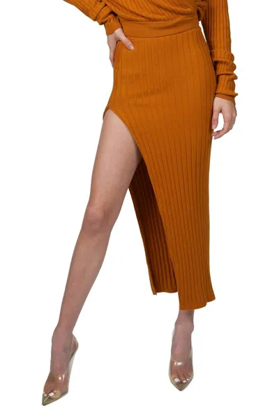 Ronny Kobo Irenna Knit Skirt In Golden In Orange