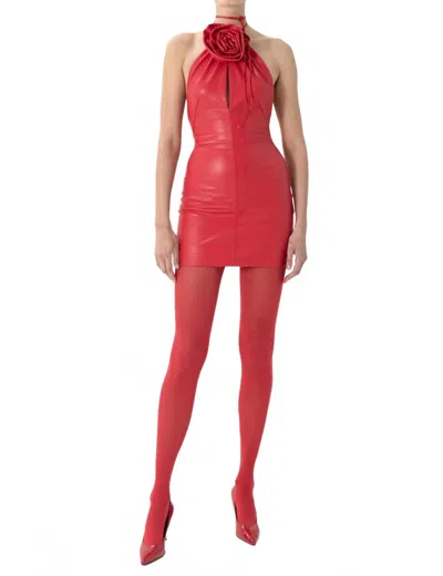Ronny Kobo Judi Leather Mini Dress In Crimson In Pink