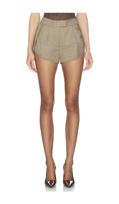 Ronny Kobo Liam Short In Brown