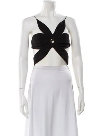 Pre-owned Ronny Kobo Plunge Neckline Sleeveless Crop Top In Black
