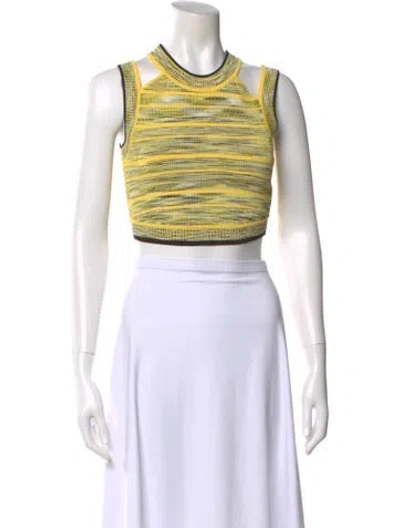 Pre-owned Ronny Kobo Striped Crew Neck Crop Top In Yellow