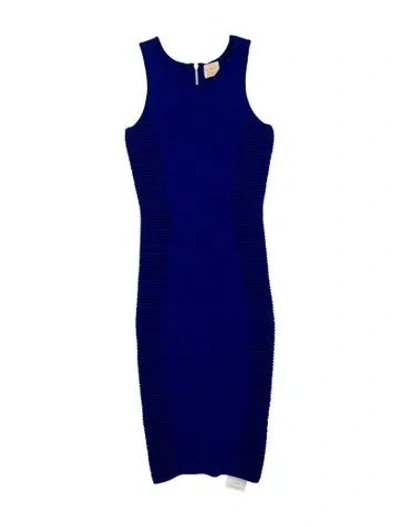 Pre-owned Ronny Kobo Striped Knee-length Dress In Blue