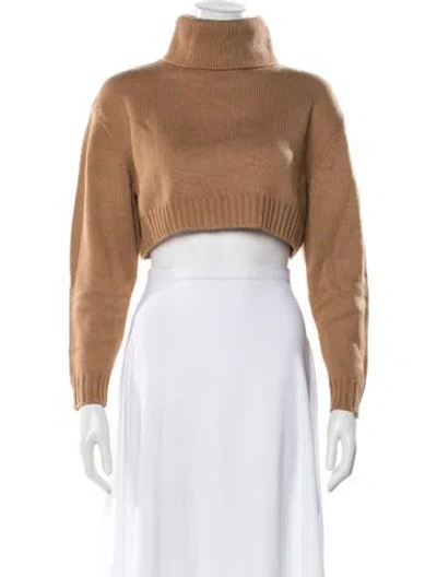 Pre-owned Ronny Kobo Turtleneck Sweater In Brown
