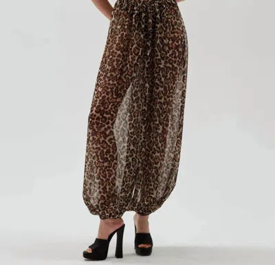 Ronny Kobo Women's Mora Jumpsuit In Leopard In Animal Print