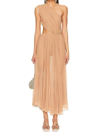 Ronny Kobo Women's Mori Pleated Chiffon Midi Skirt In Tan In Brown