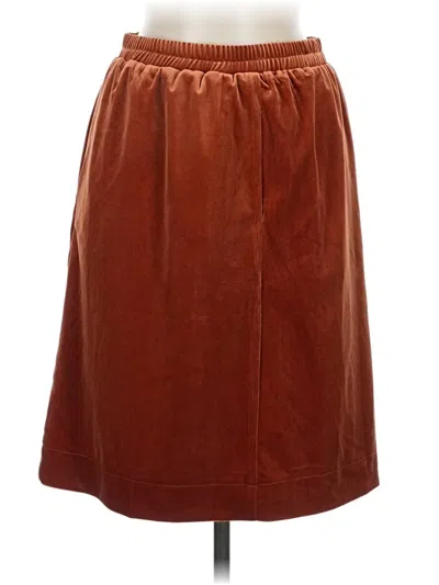 Pre-owned Roolee Casual Skirt In Brown