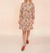 Roolee Patsy Long Sleeve Dress In Pink Multi In Pink