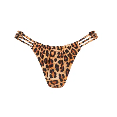 Room 24 Women's Black / Brown Cali Bottom Leopard/black Reversible In Black/brown