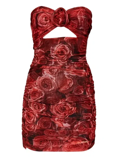 Room76 Floral-appliqué Strapless Mini Dress In Burgundy