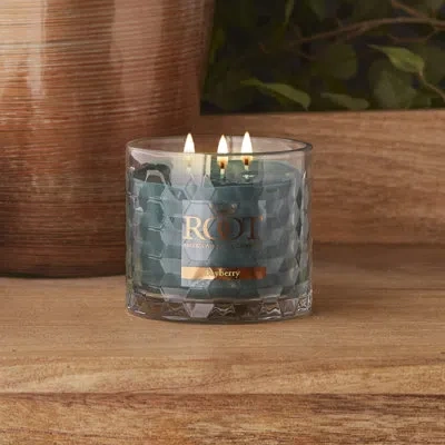 Root Candles Bayberry Scented Jar Candle In Green