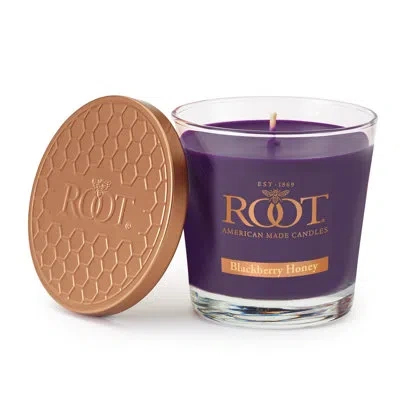 Root Candles Blackberry Honey Scented Jar Candle In Purple
