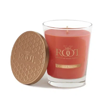 Root Candles Coastal Sunrise Scented Jar Candle In Orange