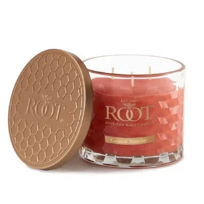 Root Candles Coastal Sunrise Scented Jar Candle In Orange