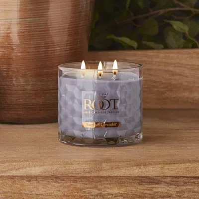 Root Candles English Lavender Scented Jar Candle In Purple