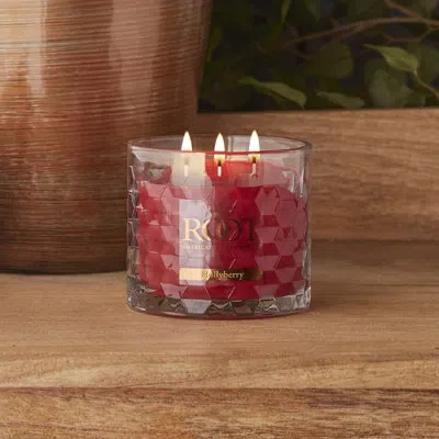 Root Candles Hollyberry Scented Jar Candle In Red