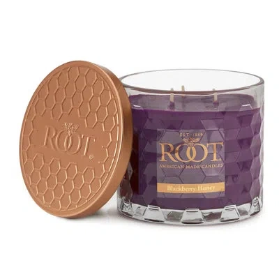 Root Candles Honeycomb Blackberry Honey Scented Jar Candle In Purple