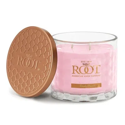 Root Candles Honeycomb Fresh Floret Scented Jar Candle In Brown;clear;pink