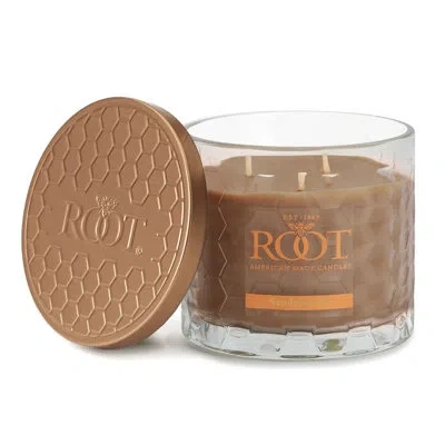 Root Candles Honeycomb Sandalwood Scented Jar Candle In Brown;clear