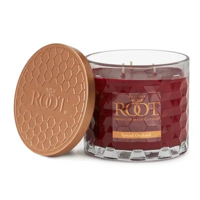 Root Candles Honeycomb Spiced Orchard Scented Jar Candle In Garnet