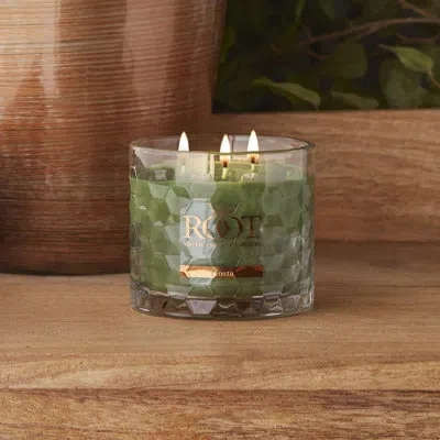 Root Candles Hosta Scented Jar Candle In Green
