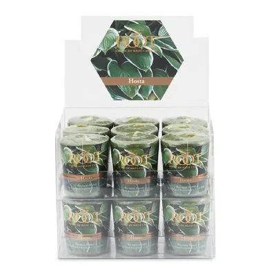 Root Candles Hosta Scented Votive Candle In Green