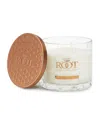 Root Candles Japanese Cedar Wood Fragrance Honeycomb Glass Jar Candle In Natural