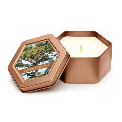 Root Candles Japanese Cedarwood Scented Jar Candle In Natural