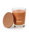 Root Candles Large Veriglass Mulled Cider Fragrance Jar Candle In Rust