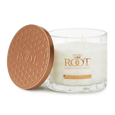 Root Candles Legacy Collection Luxury Scented Candle - Japanese Cedarwood