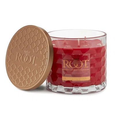 Root Candles Legacy Collection Luxury Scented Candle - Strawberry Fields