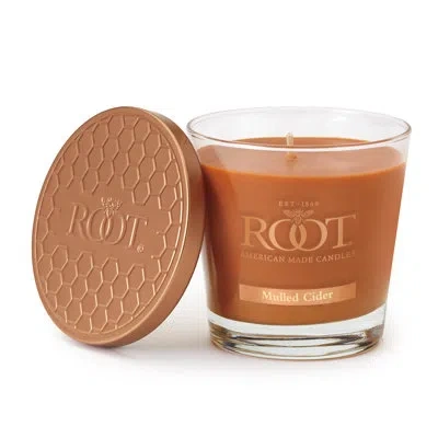 Root Candles Mulled Cider Scented Jar Candle In Rust