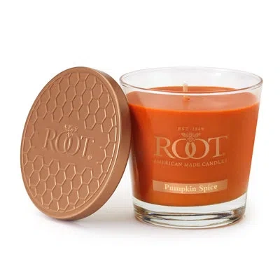 Root Candles Pumpkin Spice Scented Jar Candle In Laranja