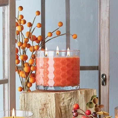 Root Candles Pumpkin Spice Scented Jar Candle In Red