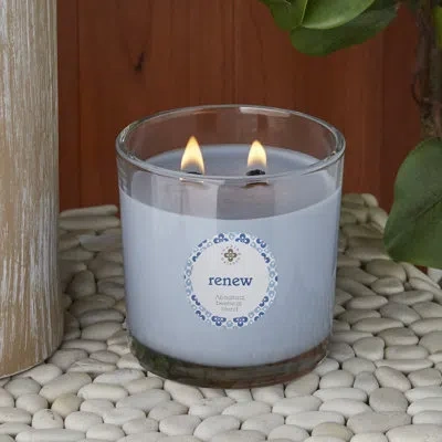 Root Candles Renew Seaside Cypress & Cedarleaf Scented Jar Candle In Blue