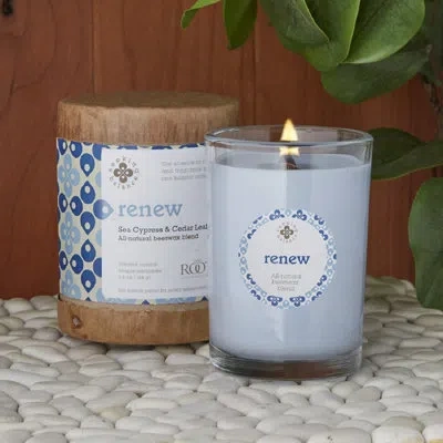 Root Candles Renew Seaside Cypress & Cedarleaf Scented Jar Candle In Blue