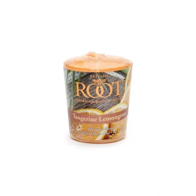 Root Candles Root Tangerine Lemongrass Scented Votive Candle In Orange;mandarin