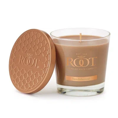 Root Candles Sandalwood Scented Jar Candle In Brown;clear