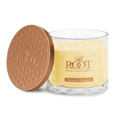 Root Candles Scented Jar Candle In Citrus Yellow
