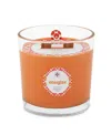 Root Candles Seeking Balance 2 Wick Energize Rosemary Eucalyptus Spa Jar Candle, 12 oz In Orange