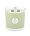 Root Candles Seeking Balance 2 Wick Relieve Eucalyptus Menthol Spa Jar Candle, 12 oz In Mint