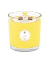 Root Candles Seeking Balance 2 Wick Uplift Lemon Bergamot Spa Jar Candle, 12 oz In Yellow