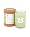 Root Candles Seeking Balance Relieve Eucalyptus Menthol Spa Jar Candle, 6.5 oz In Mint