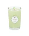 Root Candles Seeking Balance Relieve Eucalyptus Menthol Spa Jar Candle, 8 oz In Mint