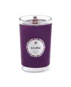Root Candles Seeking Balance Soothe Bay Leaf Birch Spa Jar Candle, 8 oz In Dark Purple